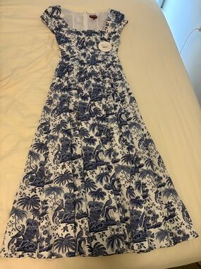 Blue and White Toile Print Maxi Dress